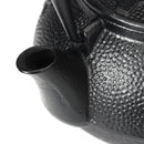 Cast Iron Kettle Tetsubin Teapot Comes Japanese Style Stove Tea Pot Holder