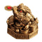 KiWarm Classic Toad Lucky Money Gifts Home Golden Color Feng Shui Chinese Coin Decorations Wealth Statue Decoration Ornament