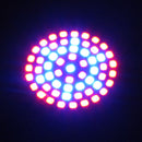Full Spectrum E27 3W 60 LED Grow Light 41 Red 19 Blue For Plant Hydroponics AC220V