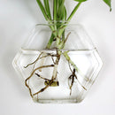Wall-mounted Hexagon Flower Plant Glass Vase Home Garden Wedding Party Decoration