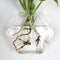 Wall-mounted Hexagon Flower Plant Glass Vase Home Garden Wedding Party Decoration