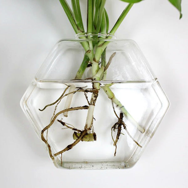 Wall-mounted Hexagon Flower Plant Glass Vase Home Garden Wedding Party Decoration