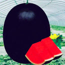 Egrow 30 Pcs/Pack Watermelon Seeds Giant Black Watermelon Bonsai Fruit Plant Sweet Juicy Water Melon Home Garden Bonsai