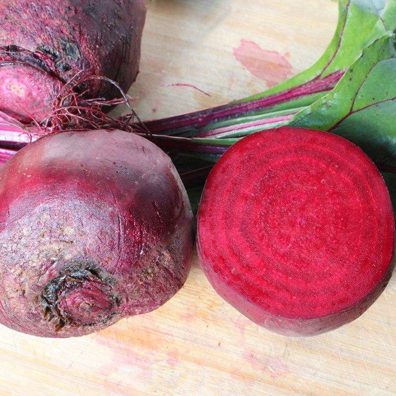 Egrow 200Pcs/Bag Chinese Red Beet Sweet Vegetables Seeds Russian Sweet Soup Refine Sugar Anti-Cancer