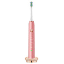 Loskii PA-213 Electric Toothbrush Rechargeable Ultrasonic Vibration Toothbrush 2 Replacement Heads