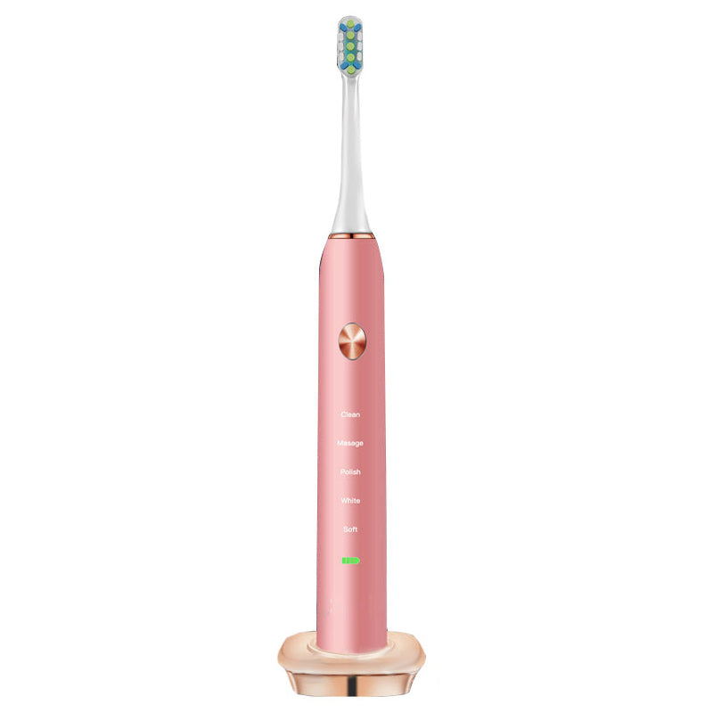 Loskii PA-213 Electric Toothbrush Rechargeable Ultrasonic Vibration Toothbrush 2 Replacement Heads