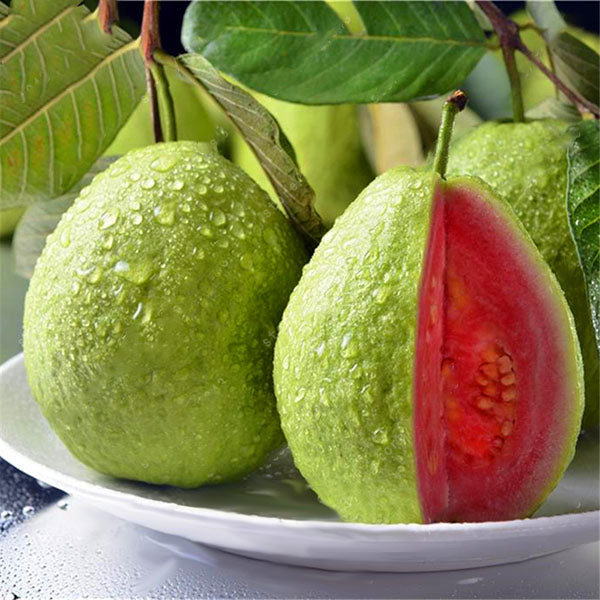 Egrow 30 Pcs/Pack Guava Seeds Tropical Sweet Fruit Tree Plants Seed for Garden Balcony Courtyard