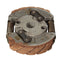 KTM 50 Clutch Assembly For 49CC KTM Air Cooled Morini