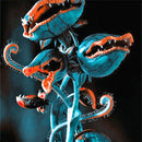 Egrow 100Pcs/Pack Flytrap Seeds Garden Potted Dionaea Muscipula Giant Carnivorous Plant Seeds