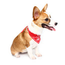 Yani HG-PLJ1 Pet Dog Red Imperial Crown Adjustable Collars Pet Cool Decoratoive Towel Pet Drcoration