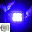 20W 30W 50W 100W UV Purple LED COB Bead Light High Power Ultraviolet DIY Lamp Chip
