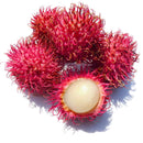 Egrow 5Pcs/Pack Rambutan Seeds Red Fruits Bonsai Plants Home Garden Ornamental Trees