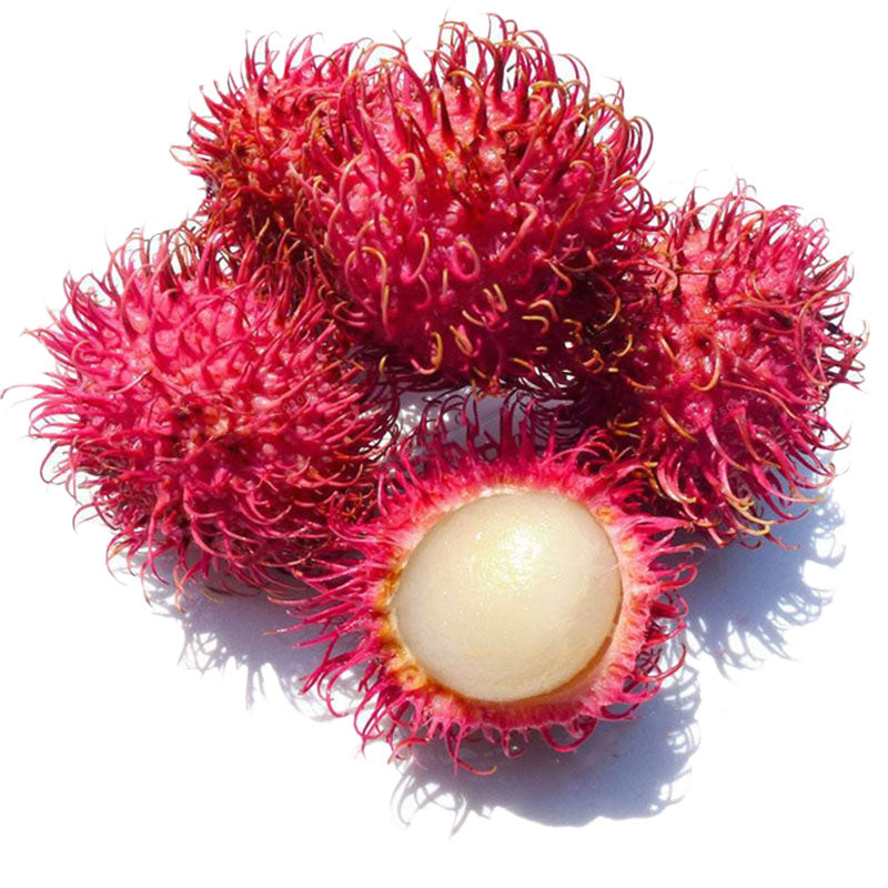 Egrow 5Pcs/Pack Rambutan Seeds Red Fruits Bonsai Plants Home Garden Ornamental Trees