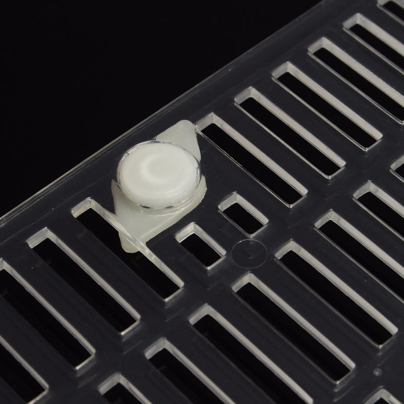 Bee Queen Rearing Cell Cupkit Box Case For Cupularve System Beekeeping Tools Set