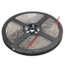 5M 72W DC 12V Waterproof IP65 5050 SMD 300 Red/Blue/White/RGB Flexible LED Party Strip Light