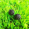 100 pcs 16mm Aquarium Bio Balls Filter Media Wet/Dry Koi Fish Tank Pond