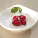 Egrow 20pcs/Bag Synsepalum Seeds Synsepalum Dulcificum Miracle Fruit Seeds Bonsai Fruit Seeds