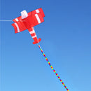Colorful 3D Aircraft Kite With Handle and Line Good Flying Gift