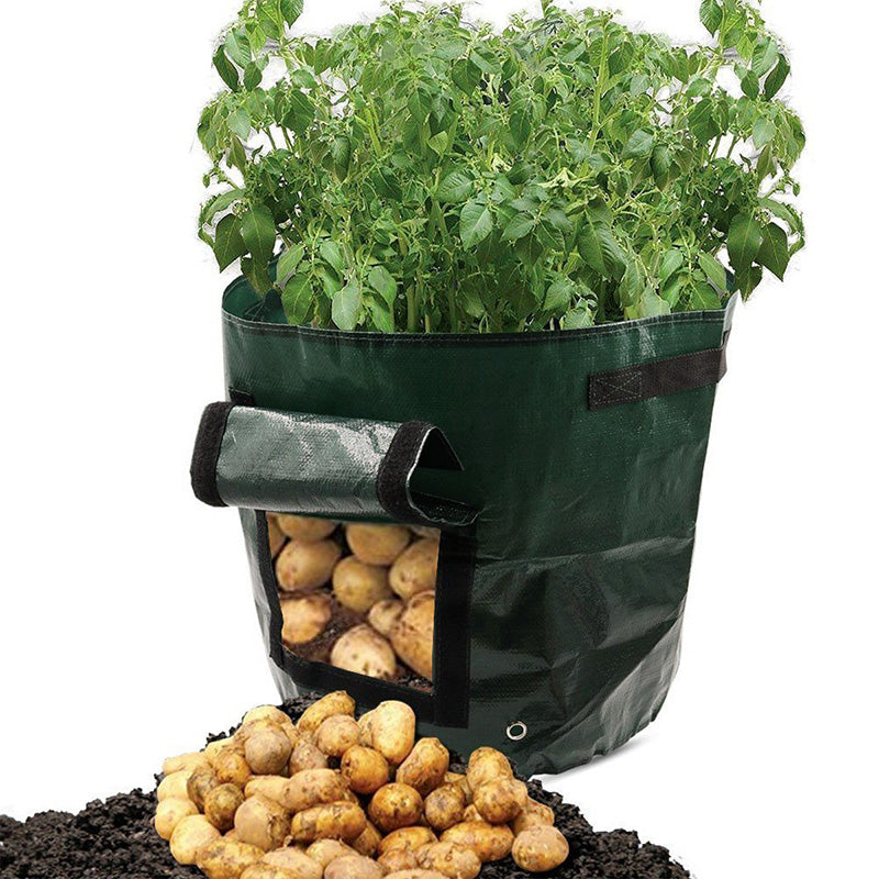 Graden 50L Large Capacity Potato Grow Planter Vegetable Bags Taro Sweet Tomato Pouch With Window