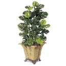 Egrow 100Pcs/Pack Philodendron Seeds 10 Kinds Mix Philodendron Bonsai Vine Leaf Indoor Plants Anti Radiation Absorb Dust Tree Plant