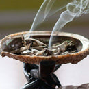 Egrow 100Pcs/Pack White Sage Seeds White Sage Bonsai Organic Herbs Salvia Apiana Medicinal Rare Perennial Leaves Heirloom Natural Plant