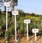 10pcs Adjutable Gardening Plant Waterproof Larger Label Tree Flower Planting Tag Tools