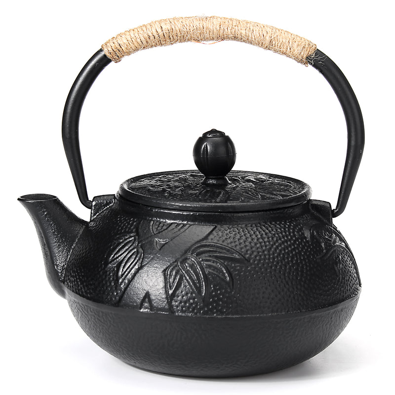 Cast Iron Kettle Tetsubin Teapot Comes Japanese Style Stove Tea Pot Holder