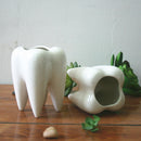 7x10cm Tooth Shape Flower Pot Succulent Plant Storage Ceramic Gardening Potted Creative Home Decor