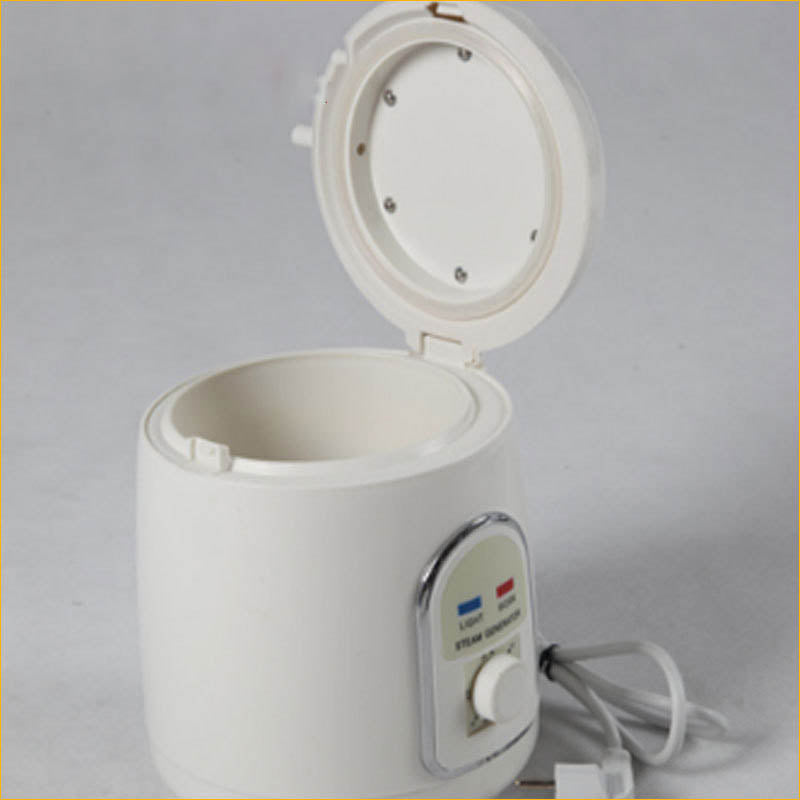 iBeauty 1.5L Fumigation Steam Steamer Thermostatic Steaming Box Fumigation Machine Model 110V/220V