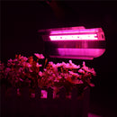 50W LED Full Spectrum Plant Flower Grow Light Waterproof Lodine Tungsten Lamp AC185-265V