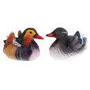 Resin Animal Sculpture Modern Garden Zoo Ornament Outdoor Decorations Floating Ducks