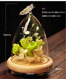 Glass Cover Landscape Vase Container Plant Flower Butterfly Decor + Tray