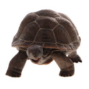ReLifelike PVC Plastic Reptile Animal Model Figurine Kids Toy Playset Story Telling Prop Collectibles Tortoise