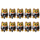 10Pcs OWLCongrats HUGE Grad Graduation Balloons Graduate Balloon Party Favor