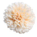10 Pieces 5.5cm Artificial Silk Chrysanthemum Flower Head for DIY Wedding Decoration - Champagne