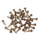 50pcs Terminal T50Pc Carp Fishing Tackle Kit Rubber Cones Suitable for Ocean Beach Fishing