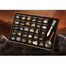 Educational Science Set NATURAL SPECIMENS COLLECTION KIT (30pcs) with Magnifier & Brush