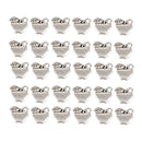 30 Pieces Apple Pendants For Bracelets Necklace Jewelry DIY Pendants Crafts