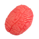 Soft Rubber Realistic Human Brain Haunted House Halloween Party Photography Props Decor