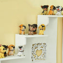 Set of 12Pcs Miniature Dogs Bonsai DIY Craft Fairy Garden Landscape Home Room Table Decor
