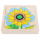 Montessori Materials The Evolution Process of Sunflower for Kids Early Learn