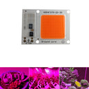 COB LED Grow Light Chips for Indoor Plant Veg and Flower , Full Spectrum 380nm -840nm Plant Led Beads 15W