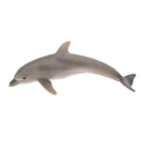 Kids Story Telling Animal Figure Showcase Display Model Educational Toy - Dolphin