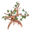 Natural Rhododendron Wood Root with Artificial Vine Leaf- Creates Natural-looking Habitat for Reptile and Amphibian-DÃ©cor & Climbing Toy for Chameleons, Frogs, Geckos, Lizards