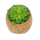 Green Artificial Succulent Desert Alocasia Plastic Real Touch Floral Decor