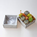 Wooden Engraved Floral Pot Flower Succulents Planter Garden Outdoor Decor
