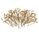 Pack of 100 Bamboo Knot Wedding Christmas Cocktail Party Appetizer Picks 12cm