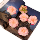 Artificial Camellia Flower Heads Silk Rose Hair Clip Wedding Party Decor Champagne Pack Of 10PCS