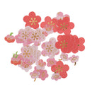 40 Piedces DIY Diary Album Sticker Scrapbooking Craft New Plum blossom