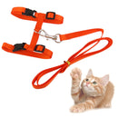 Set Of Nylon Breathable Comfortable Cat Large Adjustable I-Shaped Harness With Leash Orange